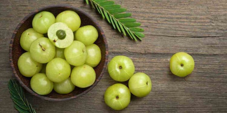 दररोज फक्त एक आवळा खा ; हे 5 आश्चर्यकारक आरोग्य फायदे मिळतील