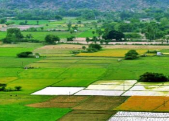 जमीन मोजणीसंदर्भात महसूलमंत्र्यांचा मोठा निर्णय; लाखो प्रकरणं मार्गी लागणार