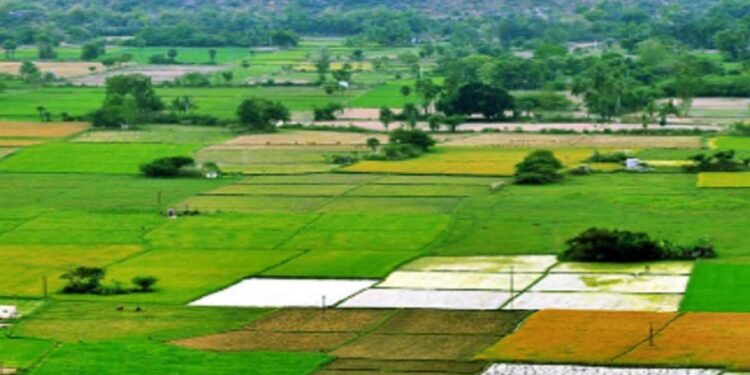 जमीन मोजणीसंदर्भात महसूलमंत्र्यांचा मोठा निर्णय; लाखो प्रकरणं मार्गी लागणार