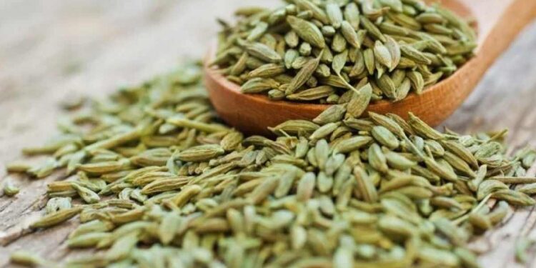 जेवणानंतर बडीशेप खाण्याचे आहेत जबरदस्त फायदे ; तुम्हाला नसेल माहिती तर जाणून घ्या