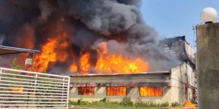 जळगाव MIDC मधील केमिकल कंपनीला भीषण आग; विझवण्यासाठी शर्थीचे प्रयत्न