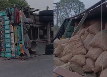 जळगावातील आहुजा नगर स्टॉपजवळ ट्रकचा अपघात ! शेकडो टन अद्रक रस्त्यावर विखुरले, वाहतूक कोंडी !