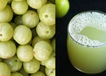 कच्चा आवळा खाणे चांगले की रस? दररोज सेवन केल्याने आरोग्यासाठी कोणते फायदेशीर ठरेल? घ्या जाणून