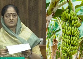 जळगावच्या केळी पिकाच्या ओलावृष्टि-विमा संरक्षण ३१ मेपर्यंत वाढवण्याची संसदेत मागणी – खा.स्मिता वाघ