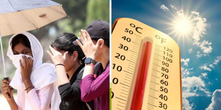 फेब्रुवारीतच महाराष्ट्रात उष्णतेची लाट! हवामान विभागाचा नवा अंदाज जाहीर