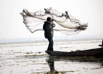 मुख्यमंत्री मत्स्यसंपदा योजनेद्वारे मत्स्यव्यवसायाला चालना; मच्छीमारांना लाभ घेण्याचे आवाहन