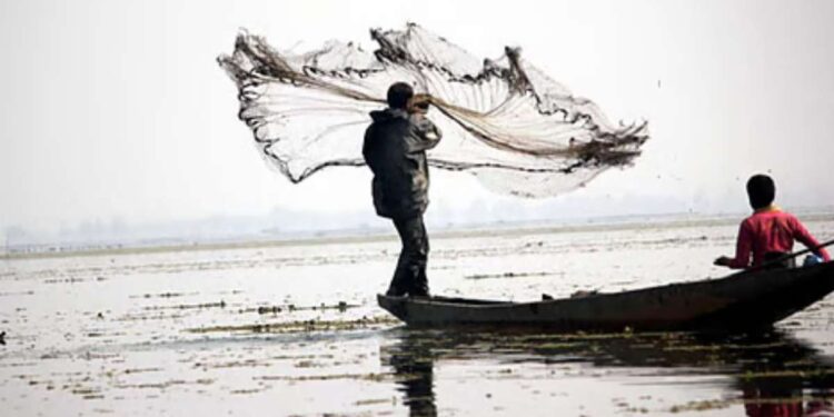 मुख्यमंत्री मत्स्यसंपदा योजनेद्वारे मत्स्यव्यवसायाला चालना; मच्छीमारांना लाभ घेण्याचे आवाहन