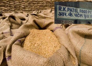 गहू खरेदीत मापात पाप ! अमळनेरातील आर.के. फूड्स कंपनीला बाजार समितीने ठोकले सील