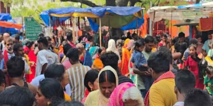 देवीच्या मंदिरात चेंगराचेंगरी होऊन ८ महिलांचा मृत्यू, अनेक जण जखमी