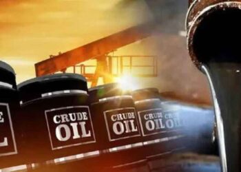 हॉर्मुजमध्ये इराणने टोल आकारणार ; भारताचं दरदिवशी किती कोटींच नुकसान होणार?