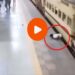 धावती ट्रेन पकडताना हात सुटला, अन्.. थरकाप उडवणारा VIDEO व्हायरल