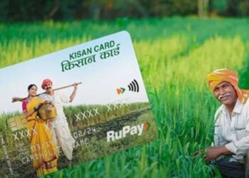 पशुपालकांसाठी सुवर्णसंधी; पशुसंवर्धन किसान क्रेडिट कार्डद्वारे ३ लाखांपर्यंत अर्थसहाय्य