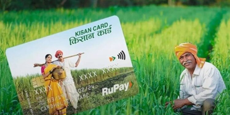 पशुपालकांसाठी सुवर्णसंधी; पशुसंवर्धन किसान क्रेडिट कार्डद्वारे ३ लाखांपर्यंत अर्थसहाय्य