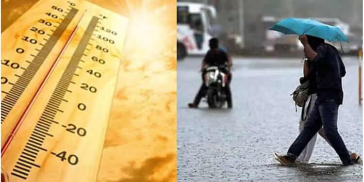 महाराष्ट्रावर दुहेरी संकट ; १४ जिल्ह्यांना ‘यलो अलर्ट’, जळगावात काय स्थिती?