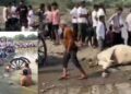 नियतीचा क्रूर घाला! गिरणा नदीपात्रात बैलगाडी उलटून वडनगरीच्या शेतकऱ्याचा बुडून अंत