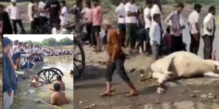 नियतीचा क्रूर घाला! गिरणा नदीपात्रात बैलगाडी उलटून वडनगरीच्या शेतकऱ्याचा बुडून अंत
