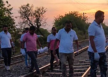 भयंकर ! महाराष्ट्र एक्सप्रेसच्या धडकेत महिलेसह १५ शेळ्यांचा जागीच मृत्यू, बुलढाण्यात धक्कादायक घटना