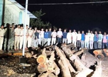 यावल अभयारण्यात वनविभागाची धडक कारवाई; तस्करीसाठी साठवलेले लाखांचे सागवान लाकूड जप्त