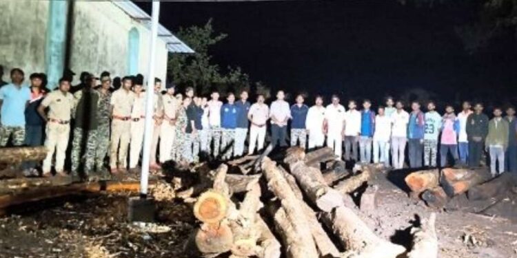 यावल अभयारण्यात वनविभागाची धडक कारवाई; तस्करीसाठी साठवलेले लाखांचे सागवान लाकूड जप्त