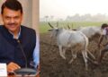 बळीराजासाठी आनंदाची बातमी! कर्जमाफी योजनेला राज्य मंत्रिमंडळाकडून मंजुरी; किती शेतकऱ्यांना होणार फायदा?