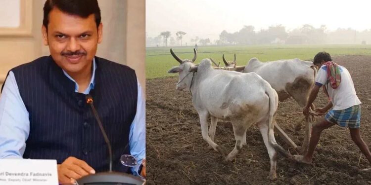 बळीराजासाठी आनंदाची बातमी! कर्जमाफी योजनेला राज्य मंत्रिमंडळाकडून मंजुरी; किती शेतकऱ्यांना होणार फायदा?