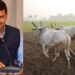 बळीराजासाठी आनंदाची बातमी! कर्जमाफी योजनेला राज्य मंत्रिमंडळाकडून मंजुरी; किती शेतकऱ्यांना होणार फायदा?