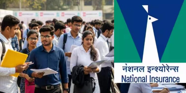 नॅशनल इन्शुरन्स कंपनीमध्ये ५०० पदांसाठी भरती; पदवीधरांना सरकारी नोकरीची मोठी संधी