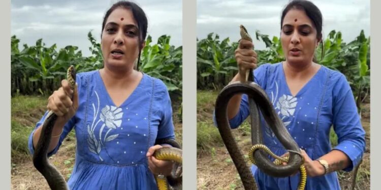 रोहिणी खडसेंनी शेतात पकडला जिवंत साप! व्हिडीओ शेअर करत म्हणाल्या..