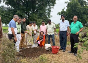 रोटरी मिडटाउन क्लबतर्फे पाळधी येथे १०० वृक्षांचे वृक्षारोपण
