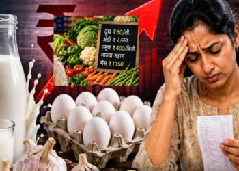 सणासुदीत सर्वसामान्यांचे बजेट बिघडणार? अंडी-चिकनपासून लसूण-कांद्यापर्यंत सगळं महागलं