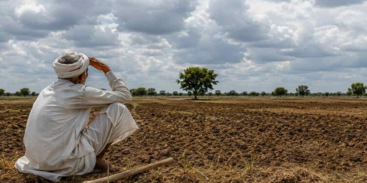 महाराष्ट्रातील २६५ तालुक्यात दुष्काळ जाहीर, आता सरकार काय उपाययोजना करणार? जाणून घ्या