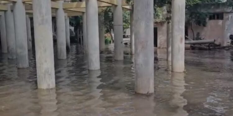 एकीकडे दुष्काळाचे सावट अन् जलकुंभ ओव्हरफ्लो! जळगावात लाखो लिटर पाण्याची नासाडी