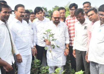 शेतकऱ्यांनी खचू नये; शासन खंबीरपणे आपल्या पाठीशी — पालकमंत्री गुलाबराव पाटील