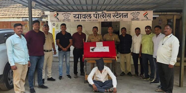 यावलमध्ये पोलिसांची मोठी कारवाई; कंबरेला देशी कट्टा खोचून फिरणारा तरुण जेरबंद!