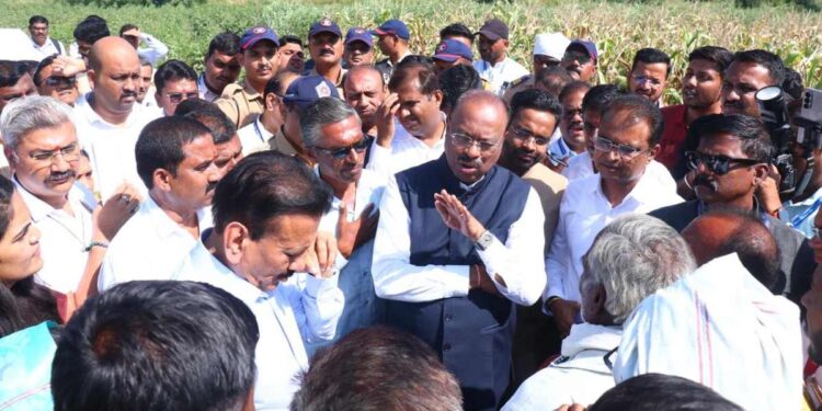 महसूल मंत्री बावनकुळेंचा बांधावर शेतकऱ्यांशी थेट संवाद; शेतात पिठलं-भाकरीचा घेतला आस्वाद