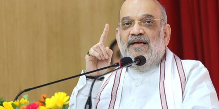 भाजपचा 2029 चा पंतप्रधानपदाचा चेहरा ठरला, अमित शाहांची मोठी घोषणा