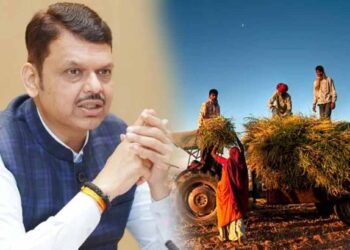 राज्य सरकारचा मोठा निर्णय!; चारा बियाण्याच्या अटी बदलल्या,  जाणून घ्या कुणाला होणार फायदा?