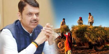 राज्य सरकारचा मोठा निर्णय!; चारा बियाण्याच्या अटी बदलल्या,  जाणून घ्या कुणाला होणार फायदा?