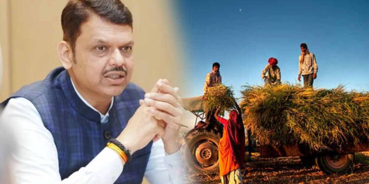राज्य सरकारचा मोठा निर्णय!; चारा बियाण्याच्या अटी बदलल्या, जाणून घ्या कुणाला होणार फायदा?